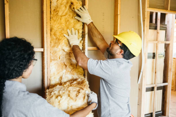 Professional Insulation in Satsuma, AL